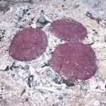 Survival Improvised Cooking: Primitive Ways to Cook Without Power