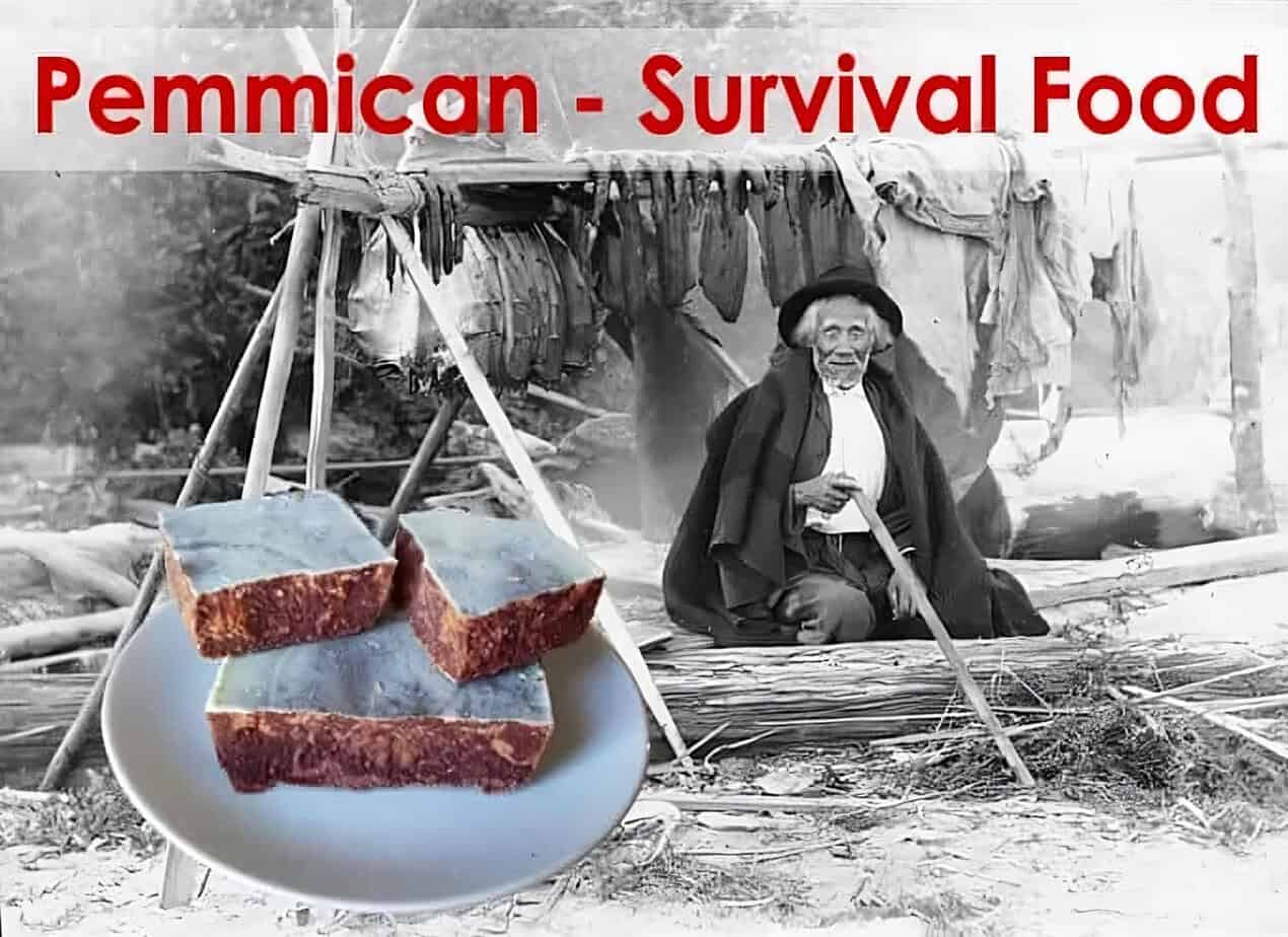 Homemade pemmican bars on a plate in front of a traditional camp, symbolizing survival food preparation.