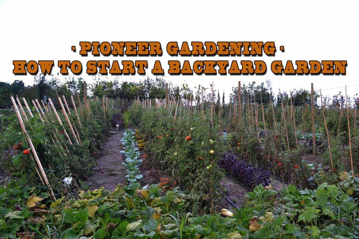 Pioneer Gardening How To Start A Backyard Garden Prepper's Will