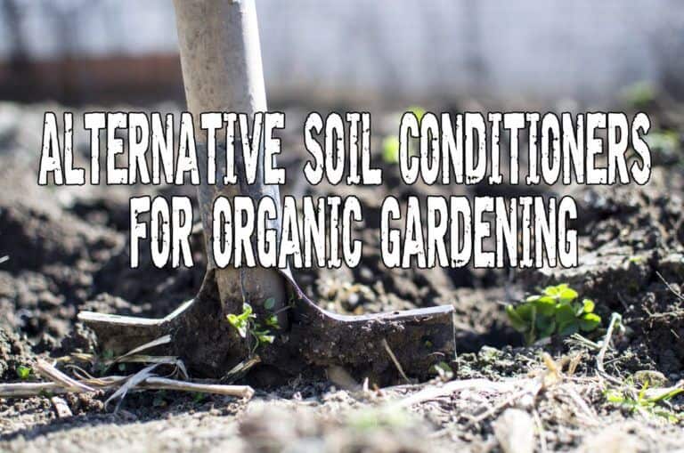 Alternative Soil Conditioners For Organic Gardening Prepper's Will