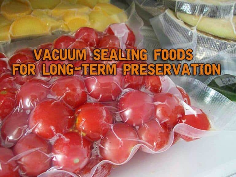 LongTerm Food Preservation Vacuum Sealing and Freezing Foods Prepper
