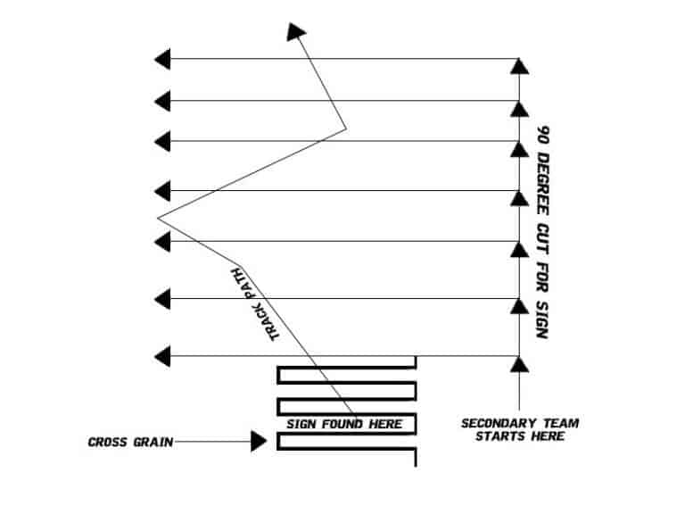 Man Tracking Techniques Useful For Search and Rescue - Prepper's Will