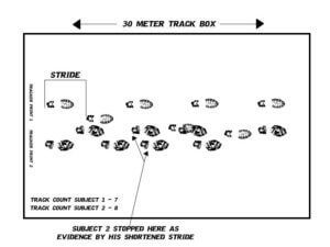 Man Tracking Techniques Useful For Search and Rescue - Prepper's Will