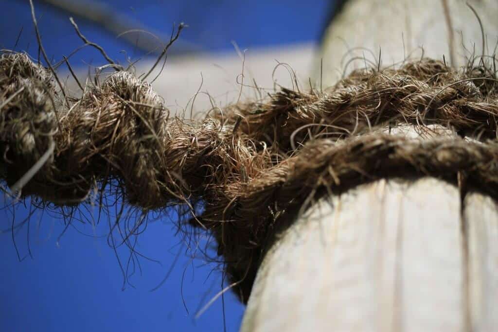 Rope Making and Usage In The Wilderness