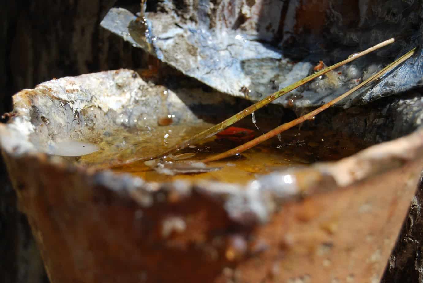 How To Make Candles In The Wilderness