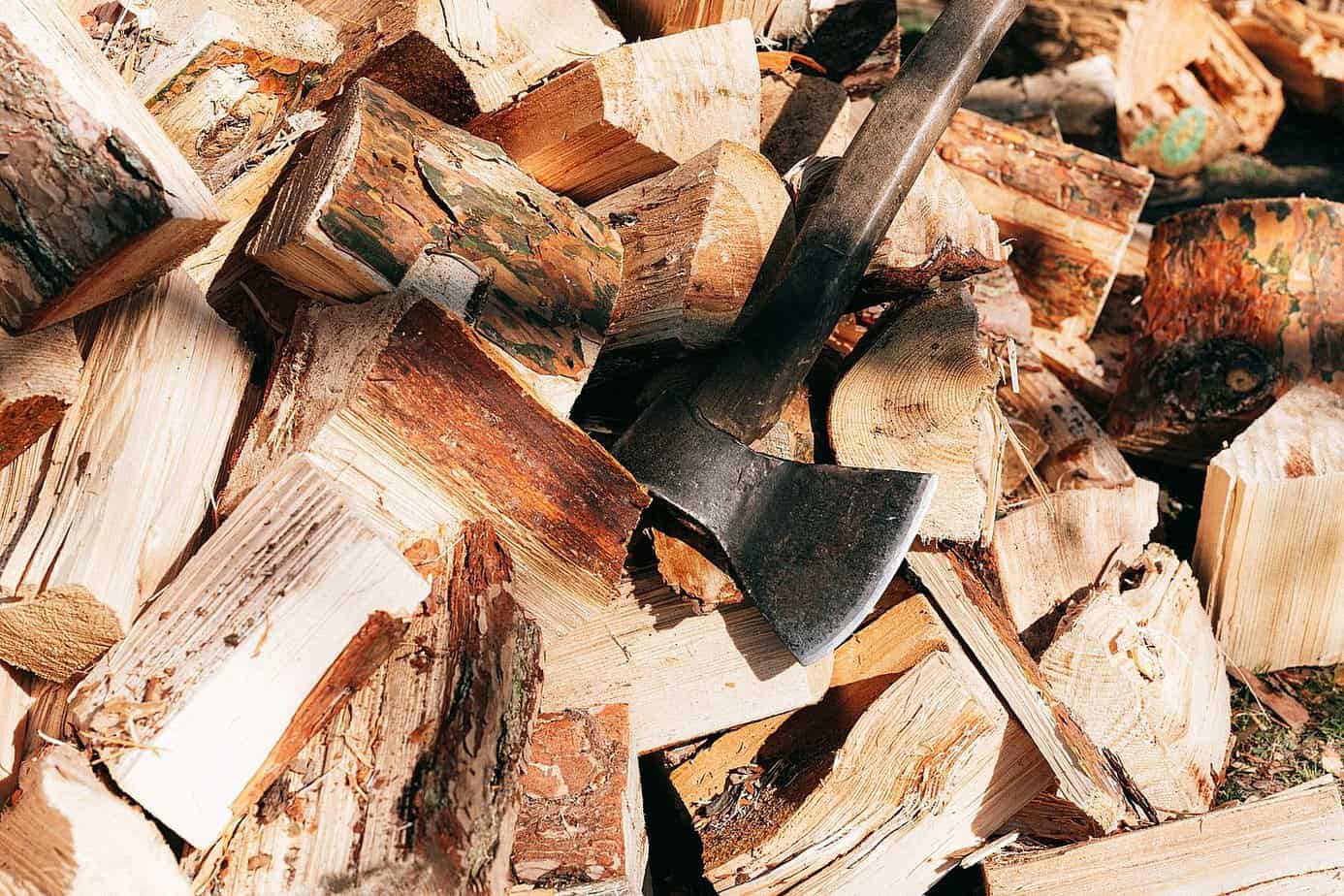 Securing The Best Wood For Fire And Shelter
