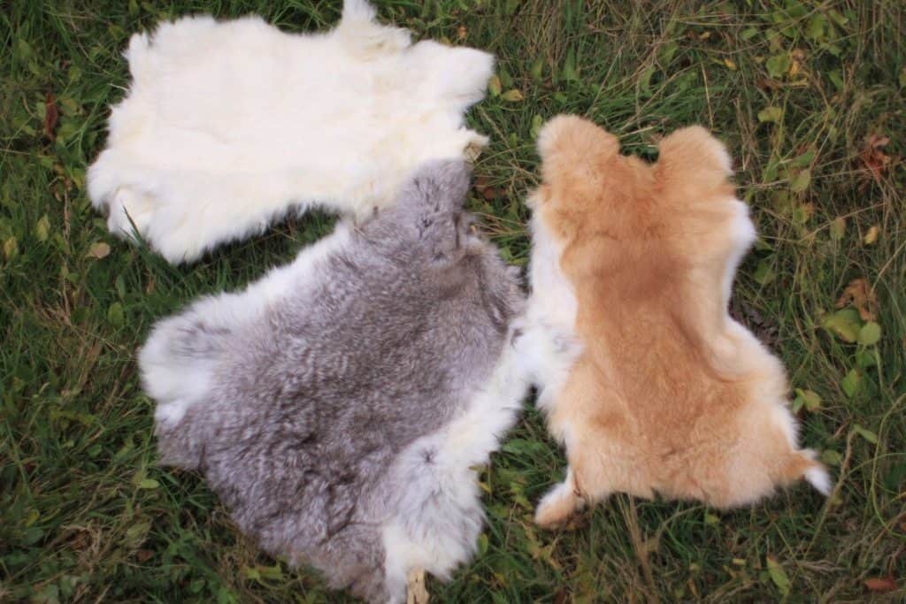 Simple Steps For Tanning Hides