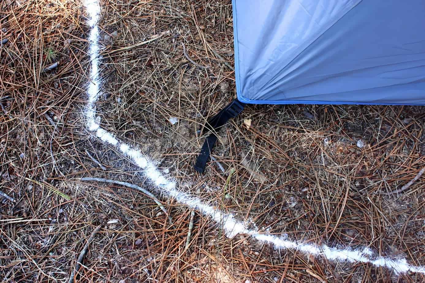 How To Protect Your Camp From Invasive Trespassers