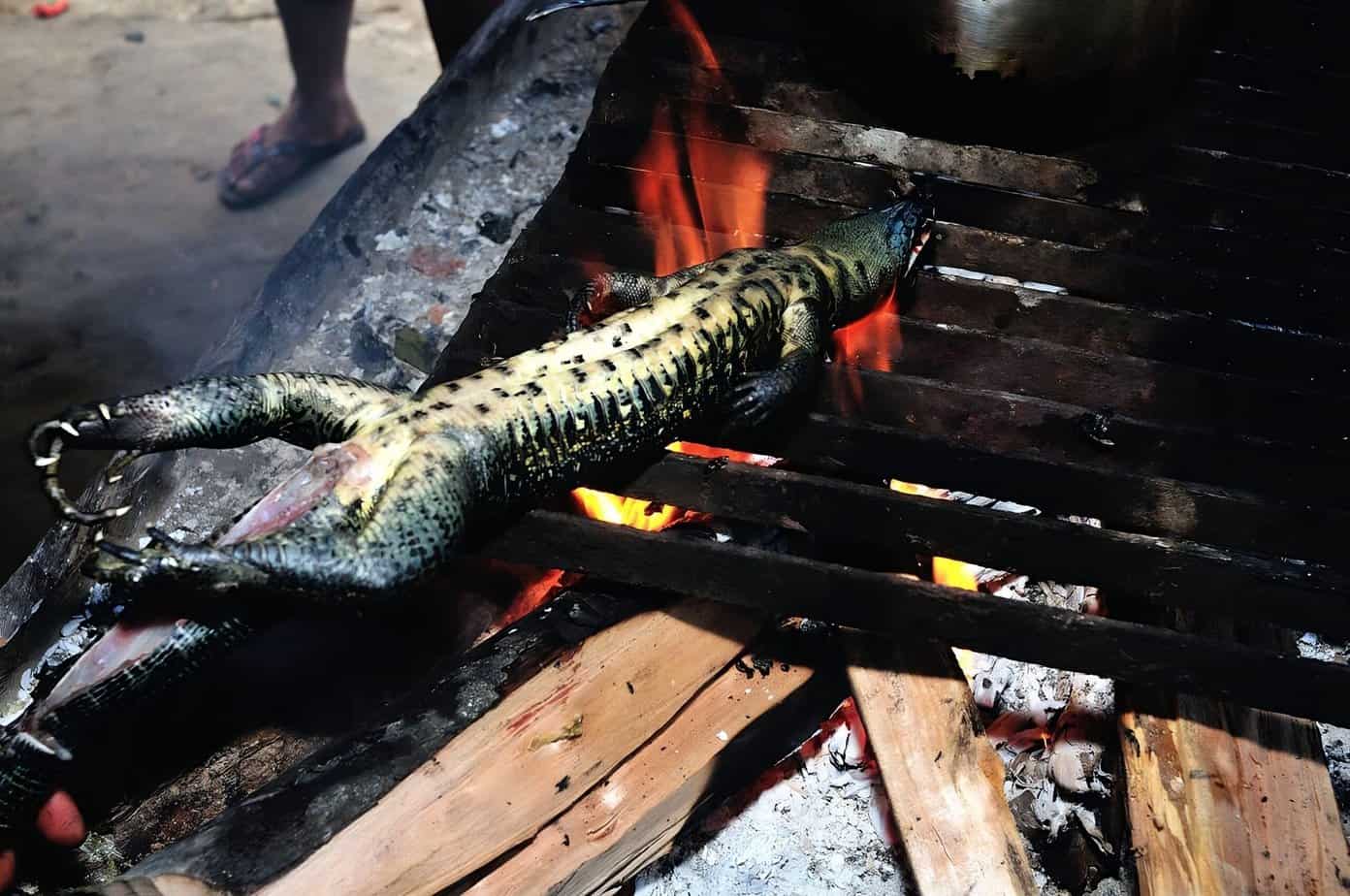 Hunting And Eating Reptiles For Survival