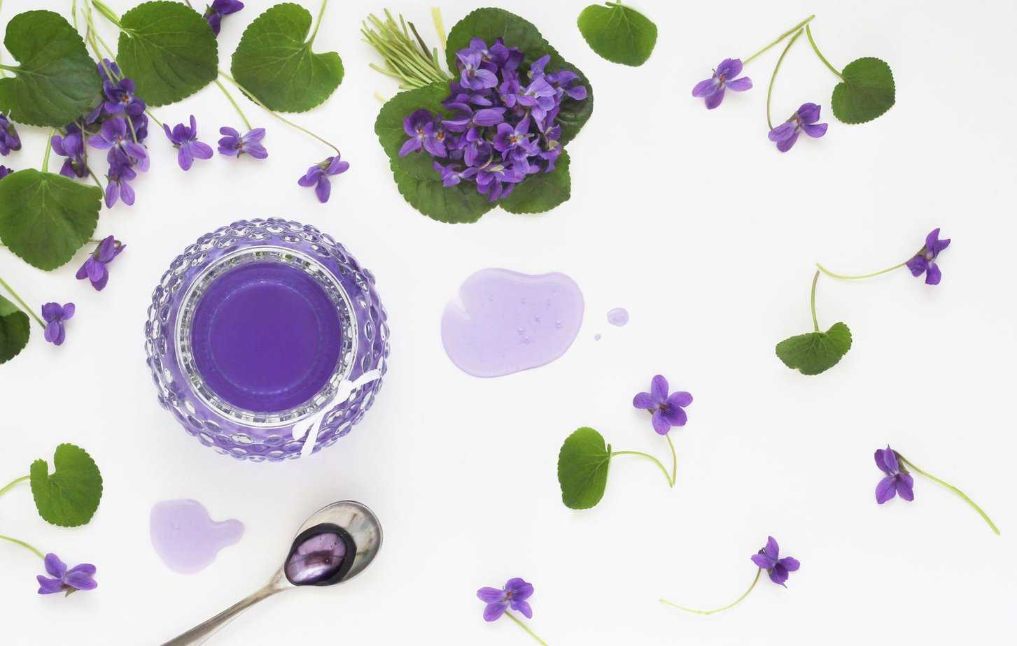 Making Wild Jelly For The Family