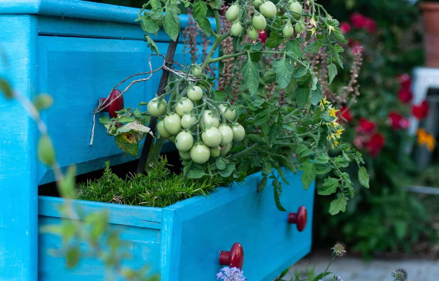 survival gardening in small spaces grow essential foods without land (part 1)