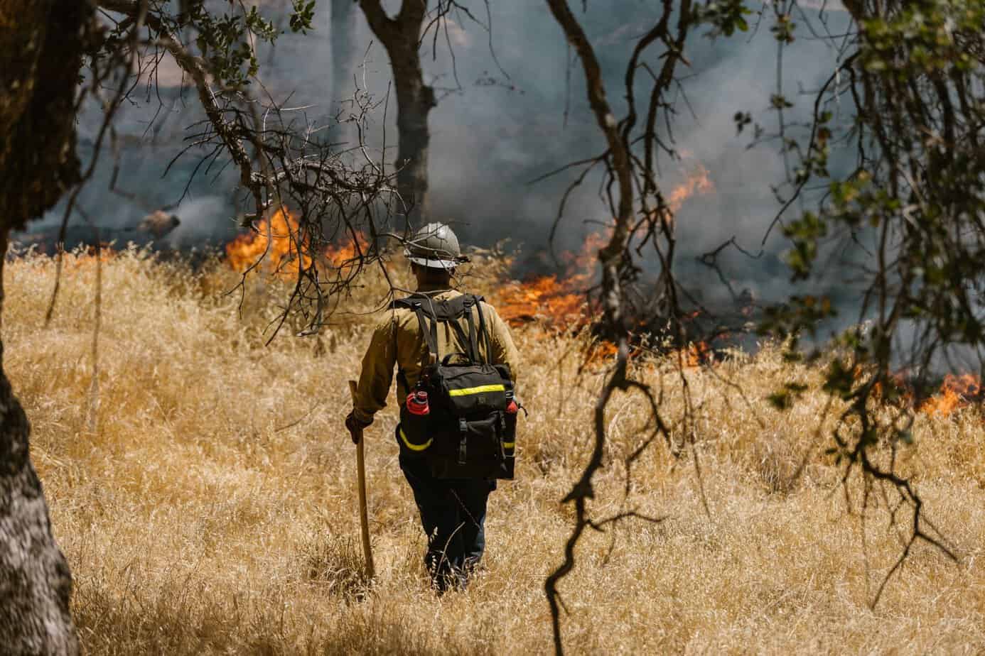 Wildland firefighter walking through dry grass toward an advancing grass fire, illustrating wildfire evacuation timing