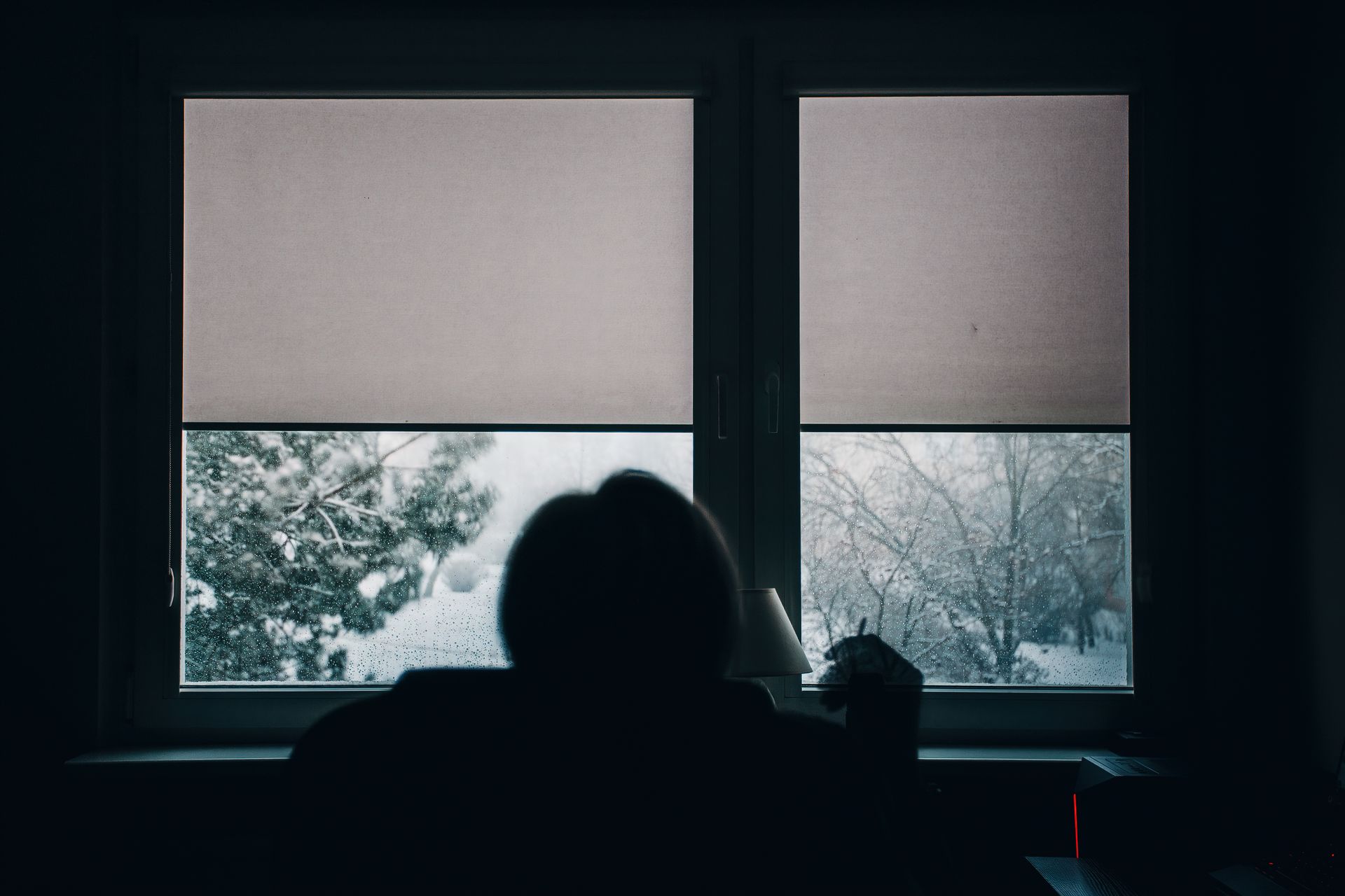 Person sitting in a dark room looking out at a snowy yard during a winter power outage, a reason to test your emergency plan